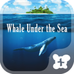 Cool Theme Whale Under the Sea