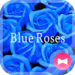 Cool Wallpaper Blue Roses