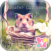 Cute Theme-Hamster Cuteness-