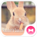Cute Theme-Rabbit’s Lunch-