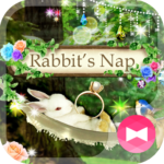 Cute Theme Rabbit’s Nap