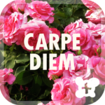Flower Theme-Carpe Diem-