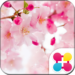 Flower Wallpaper Vivid Sakura