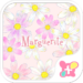 Flower wallpaper-Marguerite-