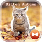 Kitten Autumn CatTheme