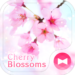 Lovely Theme-Cherry Blossoms-