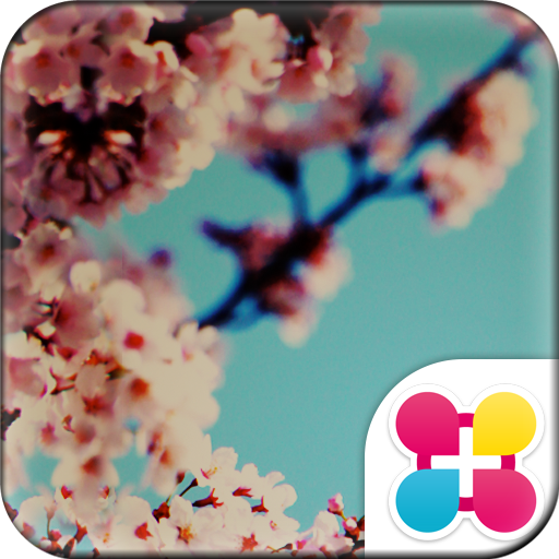 桜壁紙 サクラノスタルジー Pc ダウンロード オン Windows 10 8 7