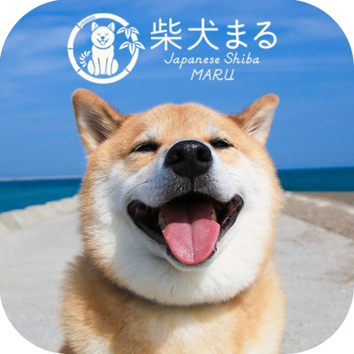 Shiba Inu Maru Launcher Free Pc ダウンロード オン Windows 10 8