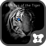 Theme -Blue Eye of the Tiger-