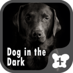 Wallpaper-Dog in the Dark-