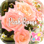 icon & wallpaper-Pink Roses-
