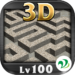3D Maze Level 100