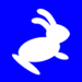 Virtual Rabbit – Running Pacer