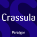 Crassula Latin and Cyrillic FlipFont