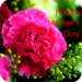 Mother’s Day Wallpaper HD